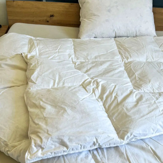 Ghid pentru alegerea pilotei - Domisa